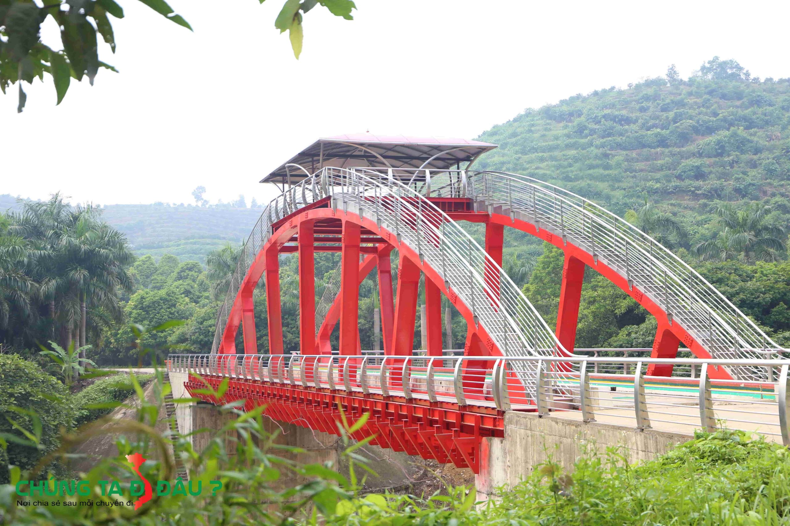 Cầu Quy hợp