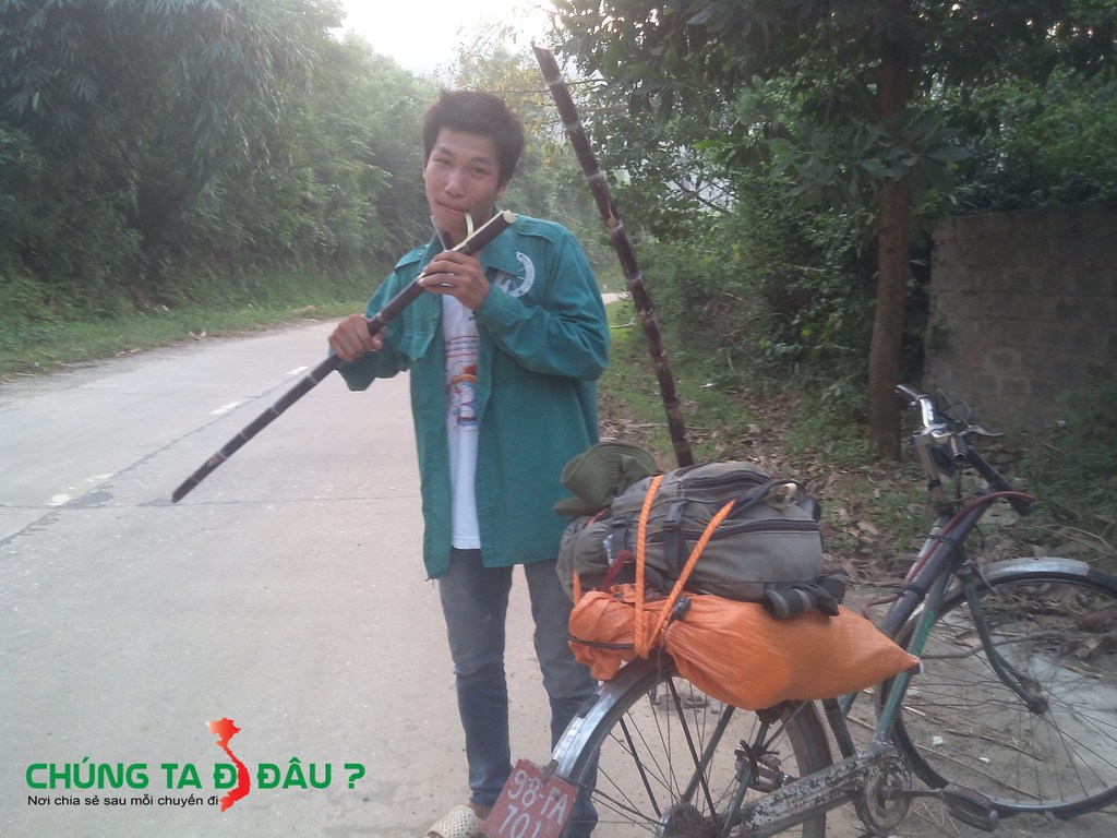May xin được mấy cây mía tiếp sức