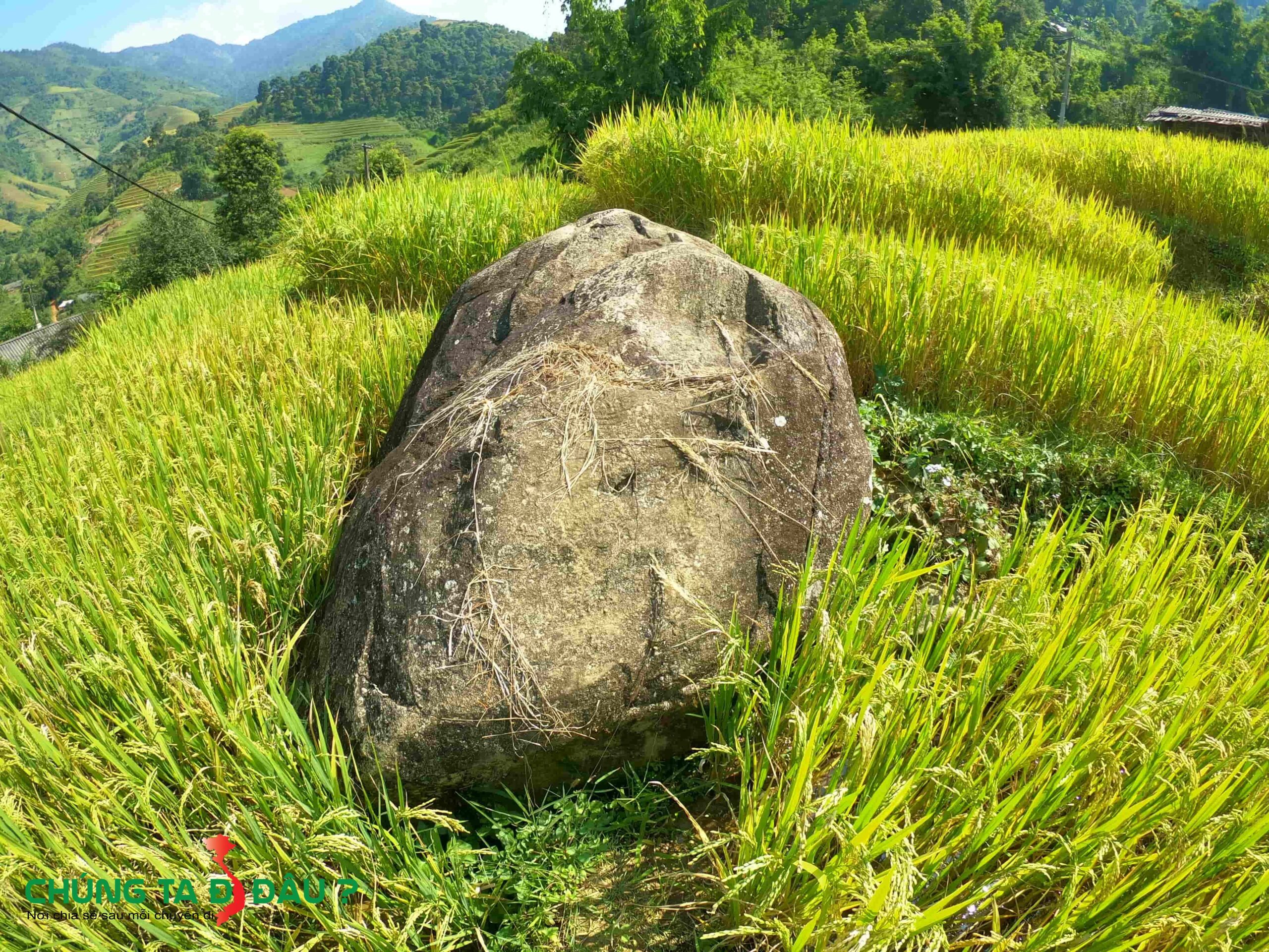 Một tảng đá khác nữa