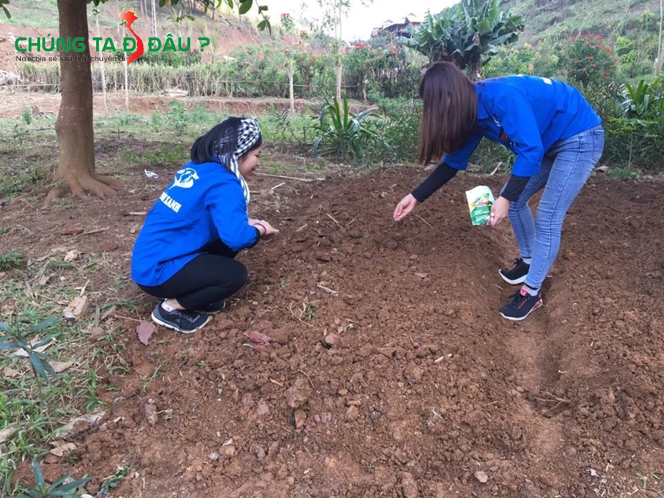 Các TNV trồng rau