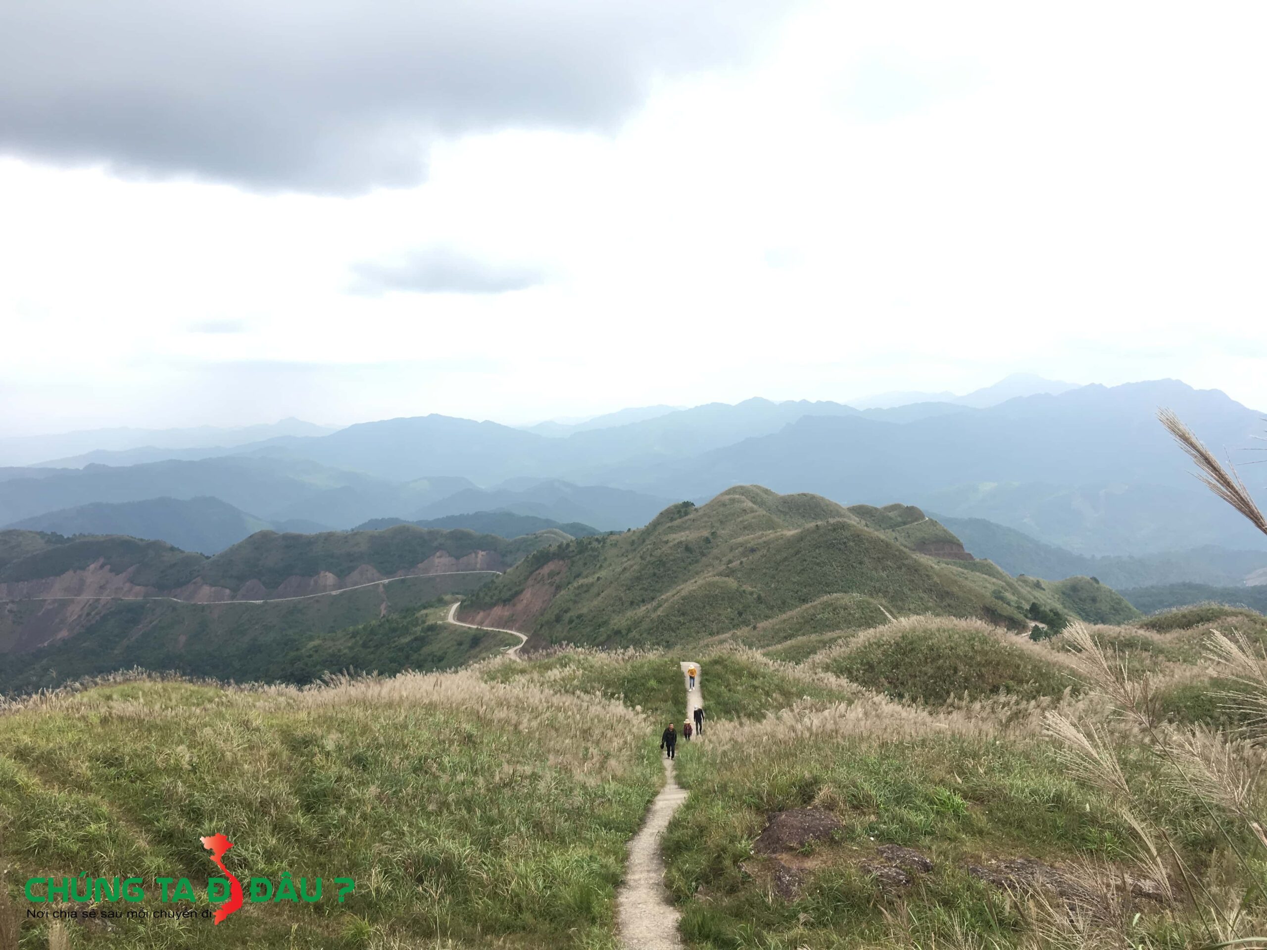 Cung đường cỏ lau đẹp nhất Bình Liêu