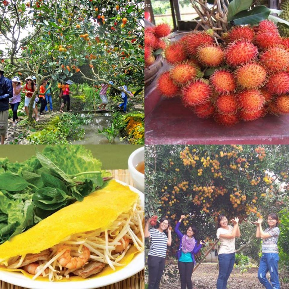 Vườn trái cây SÁU SUM