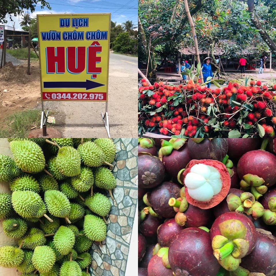 Vườn Chôm Chôm HUỆ